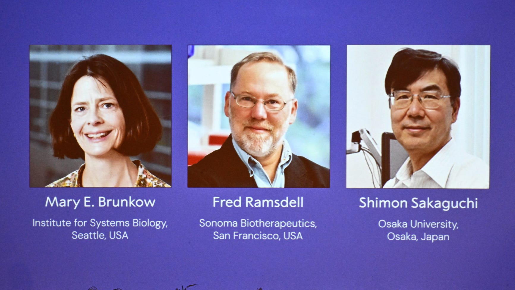 Nobel Laureates Honored for Groundbreaking Economic and Scientific Research