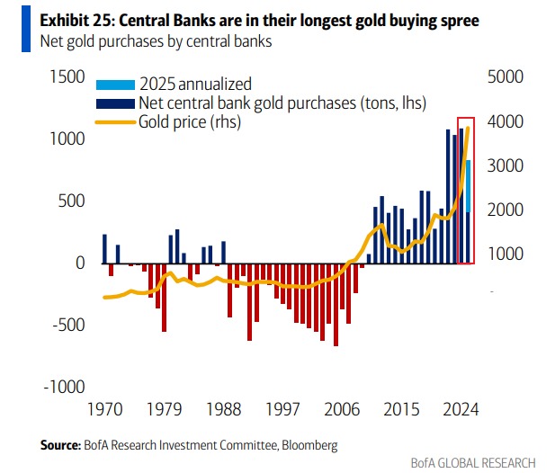 Central Banks’ Gold Purchases Reflect Strong 2025 Market Momentum Despite November Dip